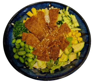 Ishikawa Ichi Bowl & Salat (vegan)